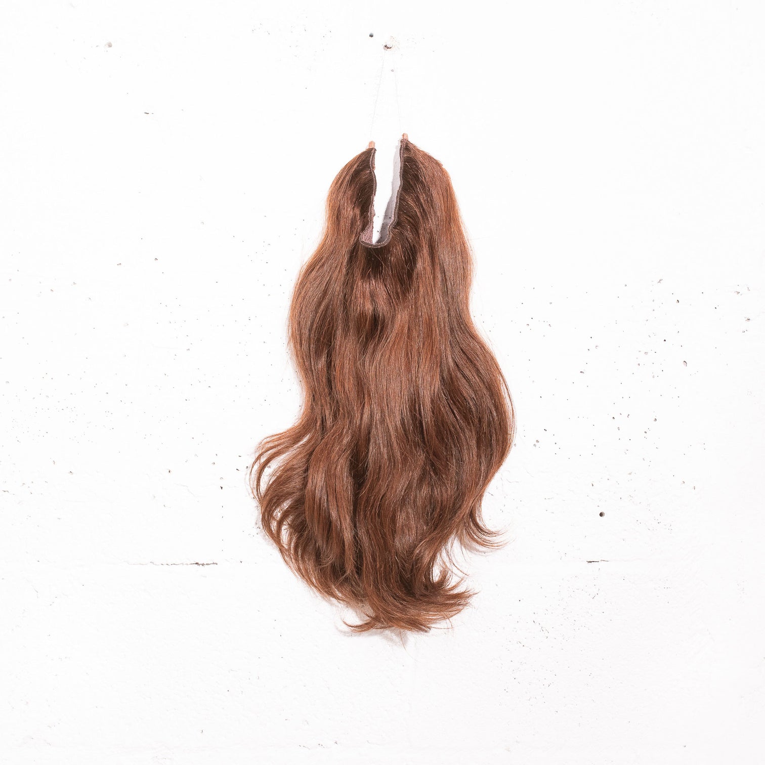 Chestnut
