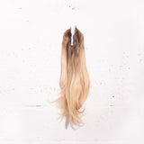 Platinum Ombre