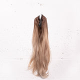 Bronde Ombré