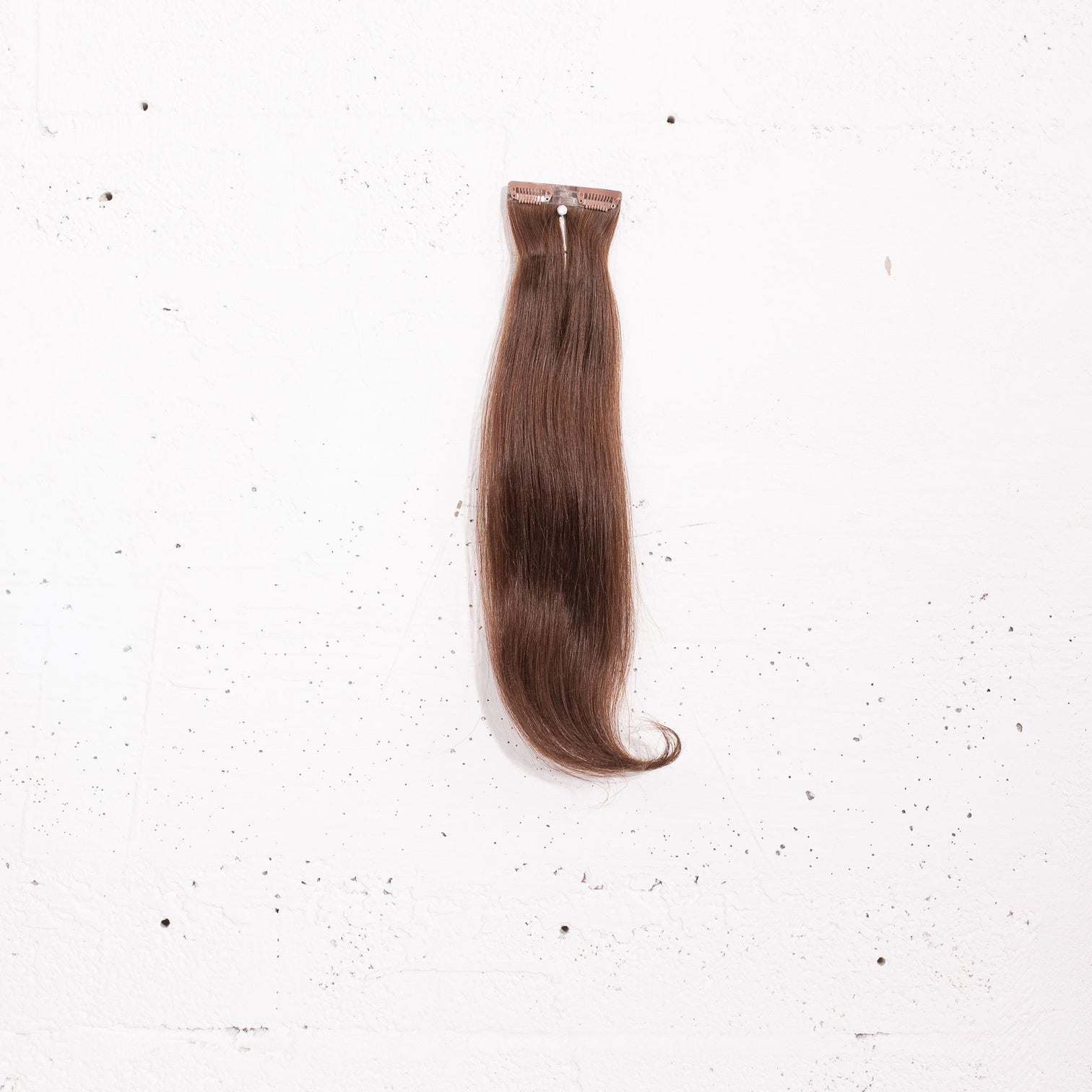 Chestnut
