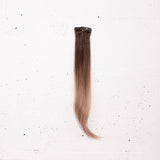 Bronde Ombré