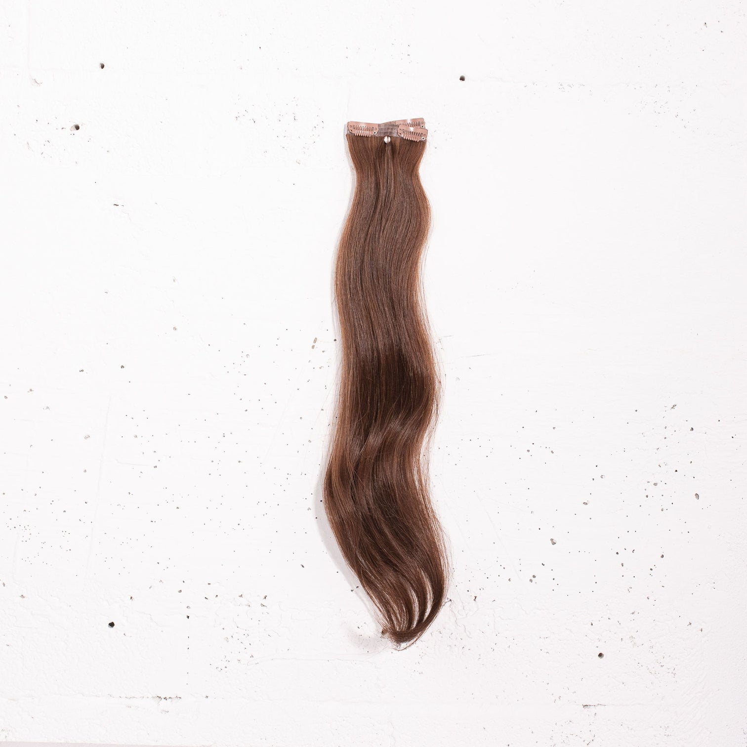 Chestnut