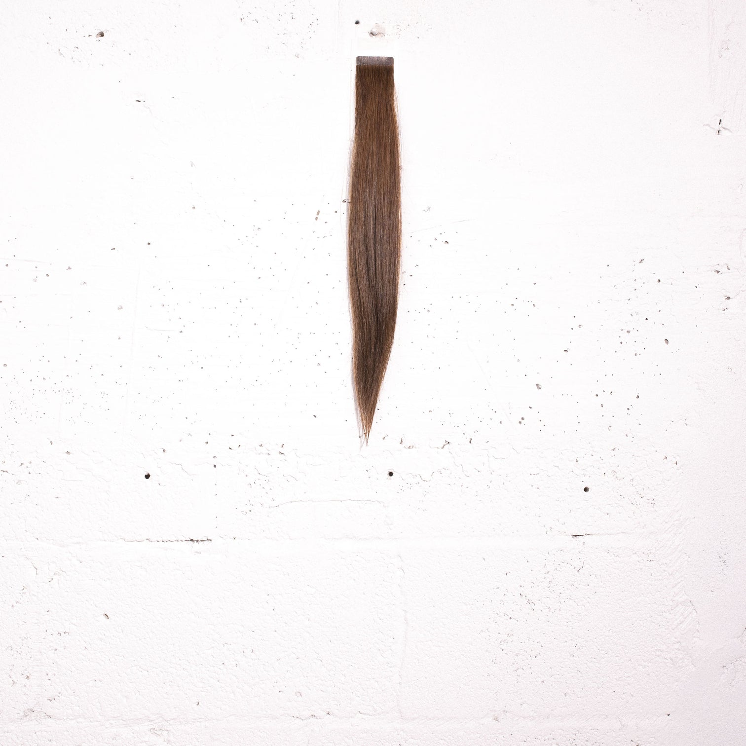 Chestnut