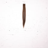 Chestnut