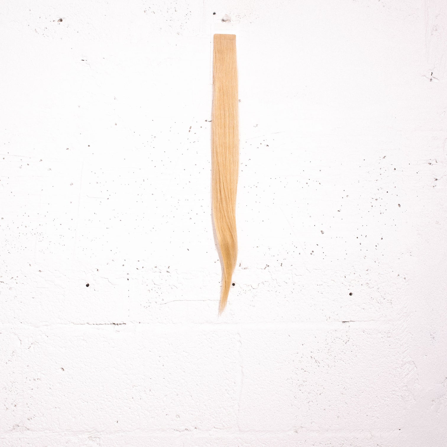 Goldie Blonde