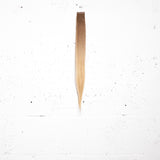 L.A. Blonde Ombre