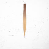 L.A. Blonde Ombre