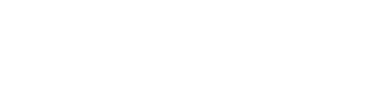 Wicked Roots Hair™ logo