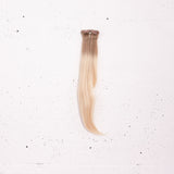 Platinum Blonde + Ash Blonde Root