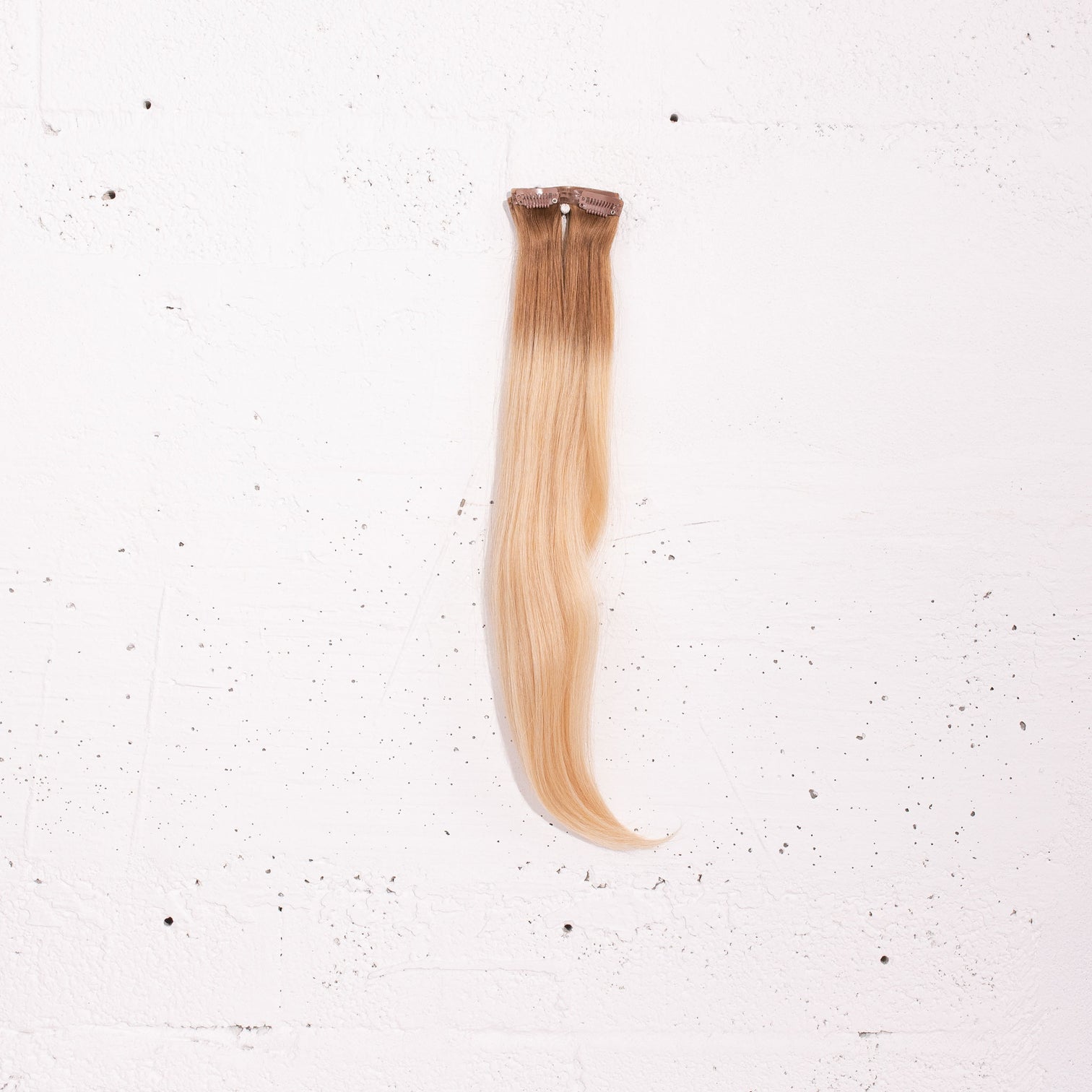 Goldie Blonde + Almond Root