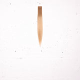 Goldie Blonde + Almond Root