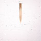 Platinum Blonde + Ash Blonde Root