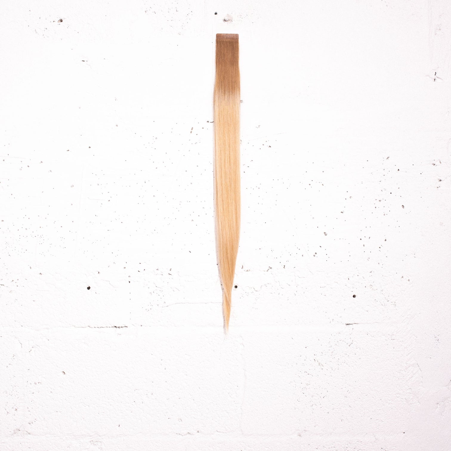 Goldie Blonde + Almond Root