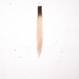 L.A Blonde + Dark Chocolate Root