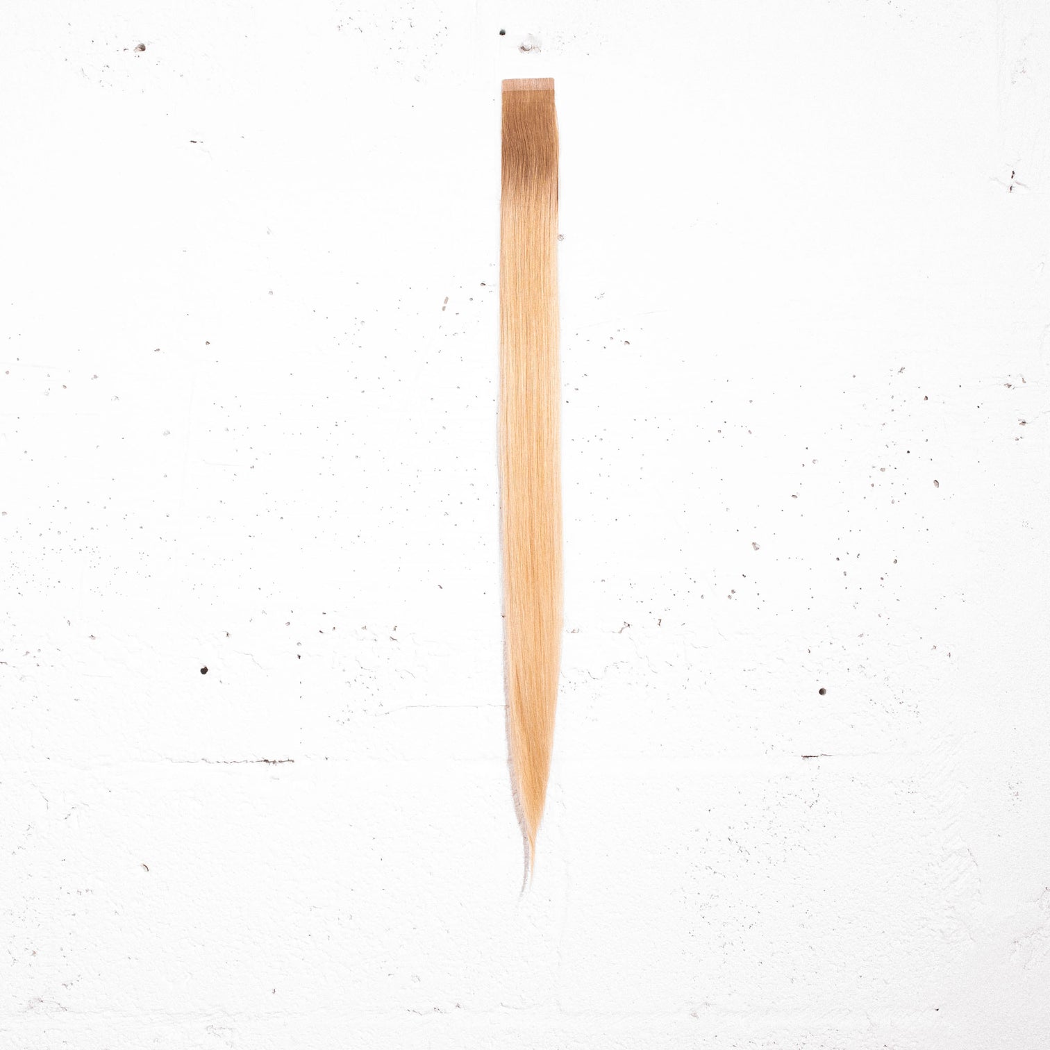 Goldie Blonde + Almond Root