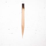 L.A Blonde + Dark Chocolate Root