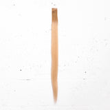 Goldie Blonde + Almond Root