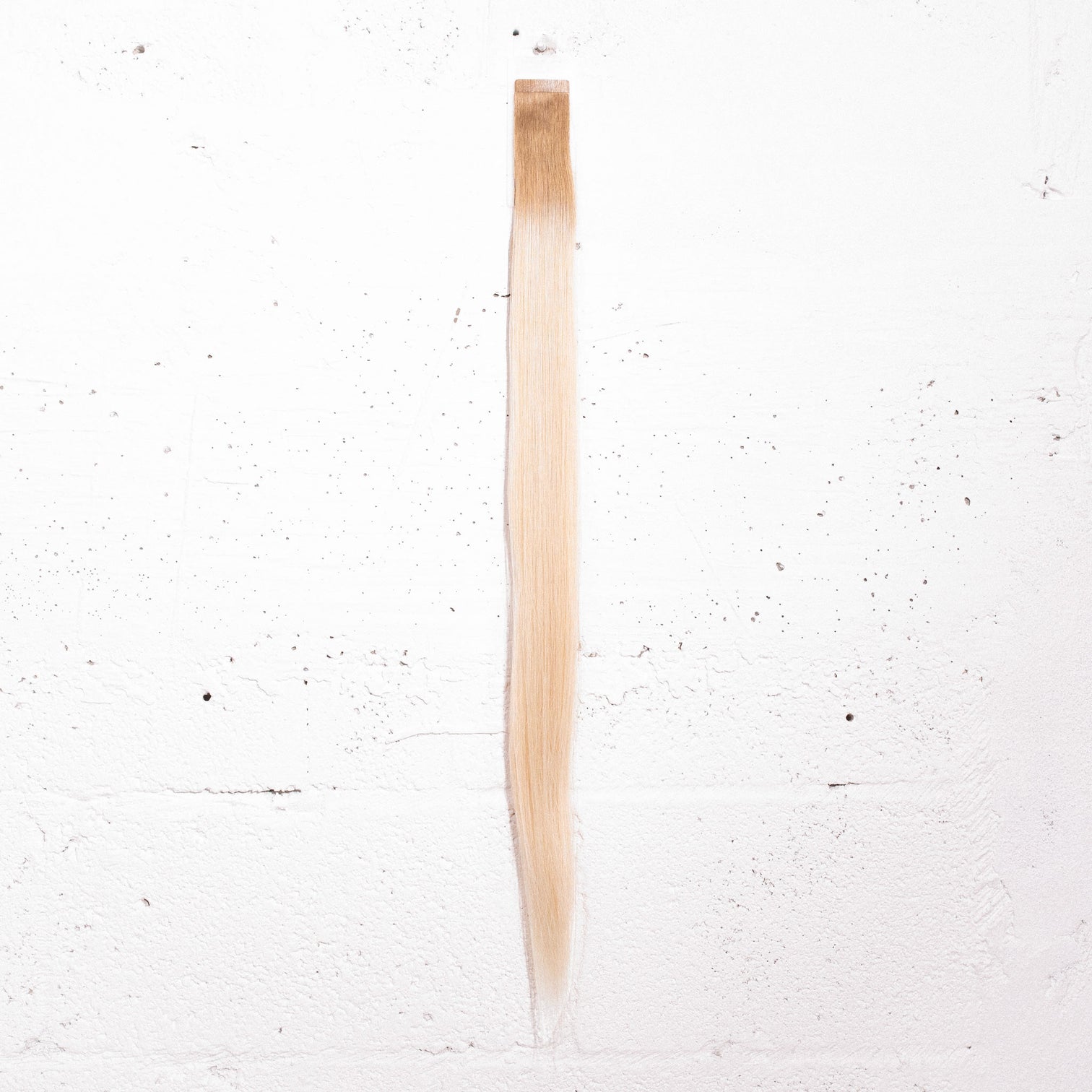 Platinum Blonde + Ash Blonde Root